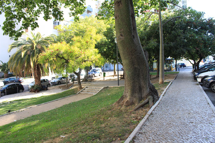 Garden Tristão da Silva