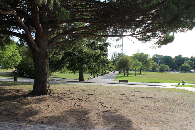 Garden Vasco da Gama