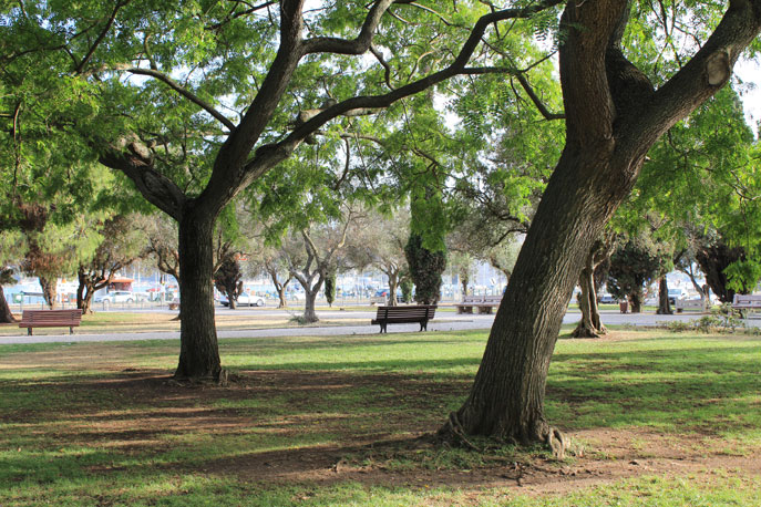 Garden Vasco da Gama