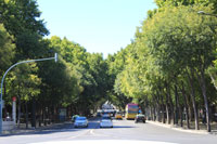Jardins da Avenida da Liberdade