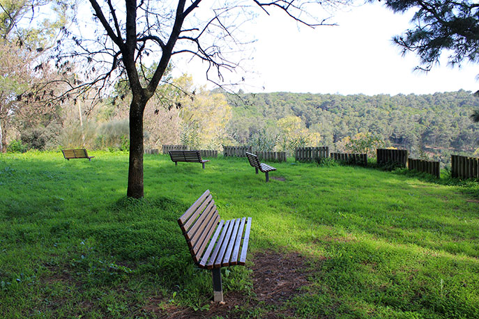 Escarpa Viewpoint
