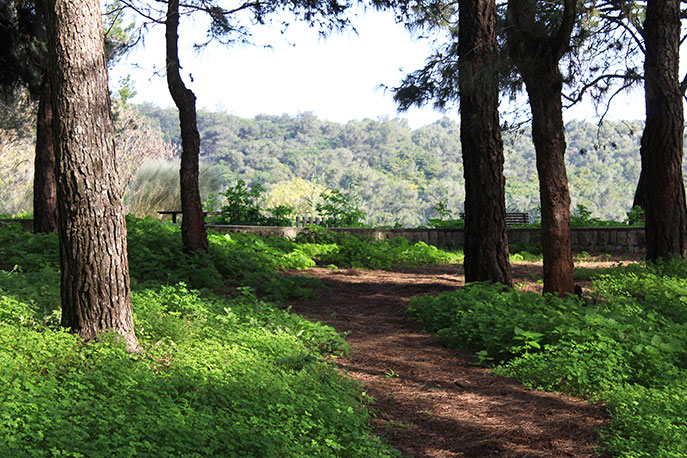 Escarpa Viewpoint