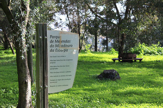 Escarpa Viewpoint