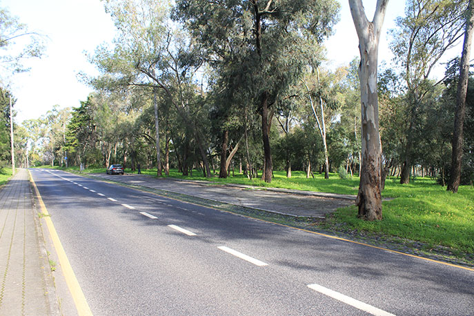 Escarpa Viewpoint