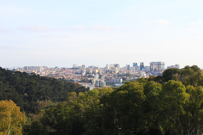 Escarpa Viewpoint