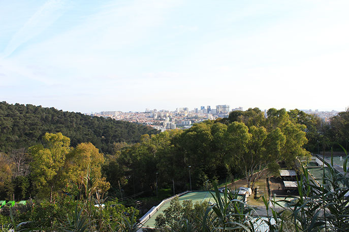 Escarpa Viewpoint