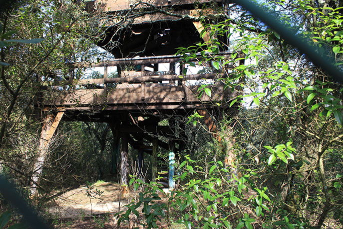 Miradouro da Torre de Observação do CIM