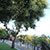 Miradouro do Jardim Botto Machado
