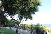 Miradouro do Jardim Botto Machado