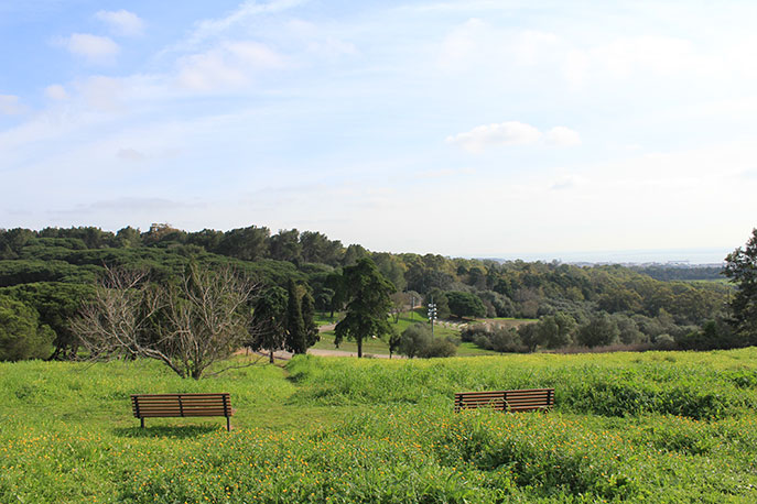 Viewpoint of Moinho do Penedo