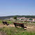 Miradouro do Morro de Campolide
