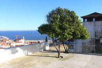Miradouro do Recolhimento