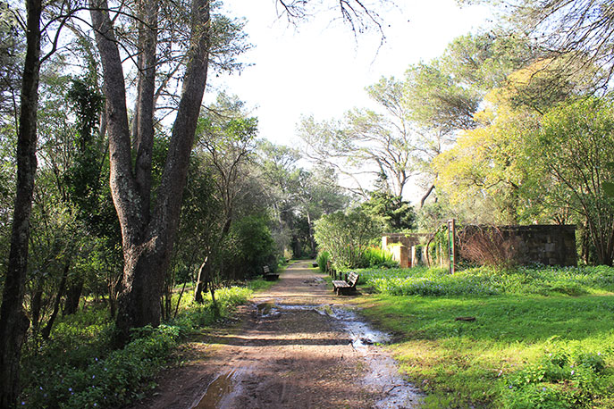 Viewpoint of Moinhos do Mocho