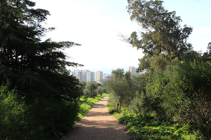 Viewpoint of Montes Claros