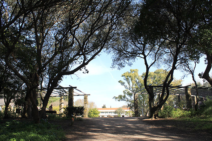 Viewpoint of Montes Claros