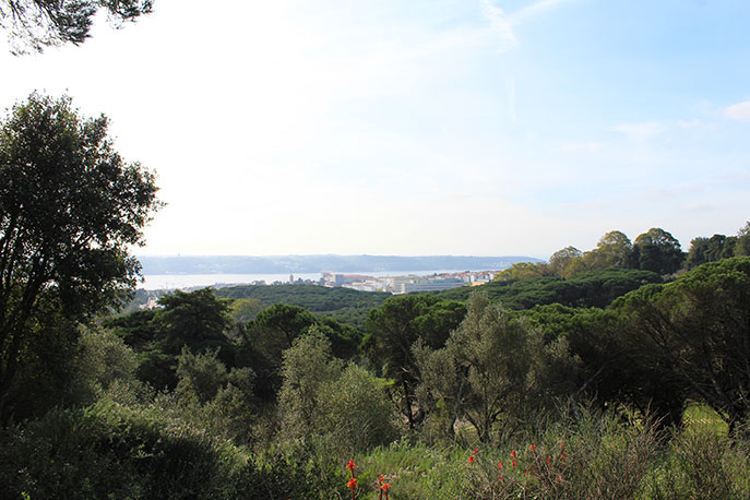 Viewpoint Keil do Amaral