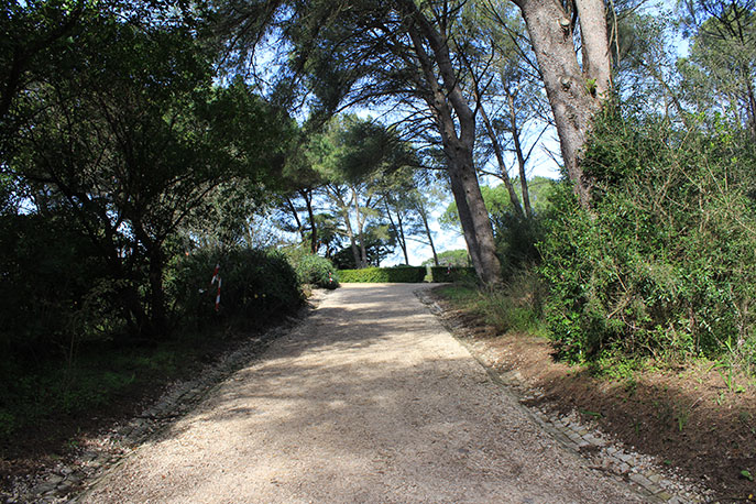 Viewpoint Keil do Amaral