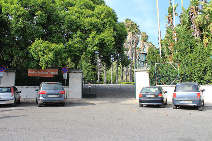 Tropical Botanical Garden