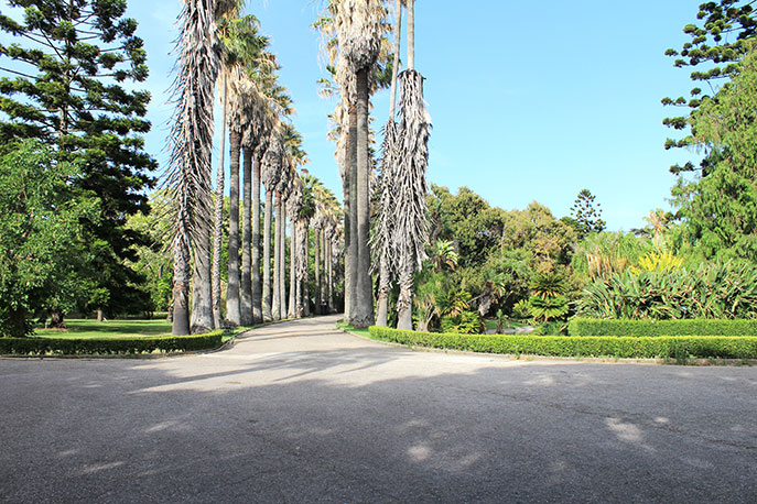Tropical Botanical Garden