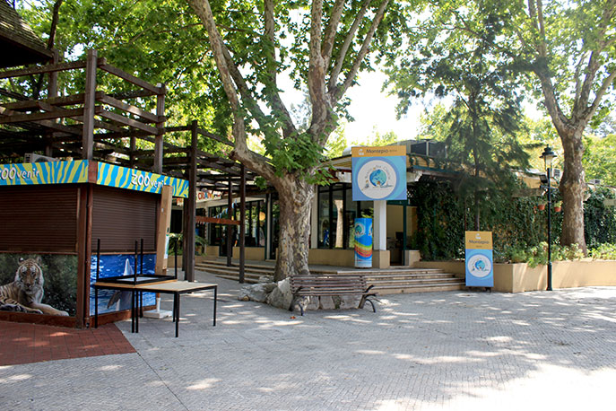 Children Museum
