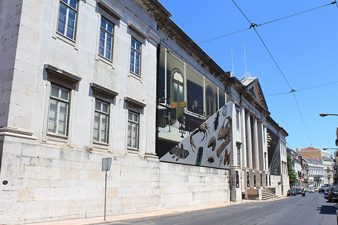 Museu Nacional de História Natural e da Ciência